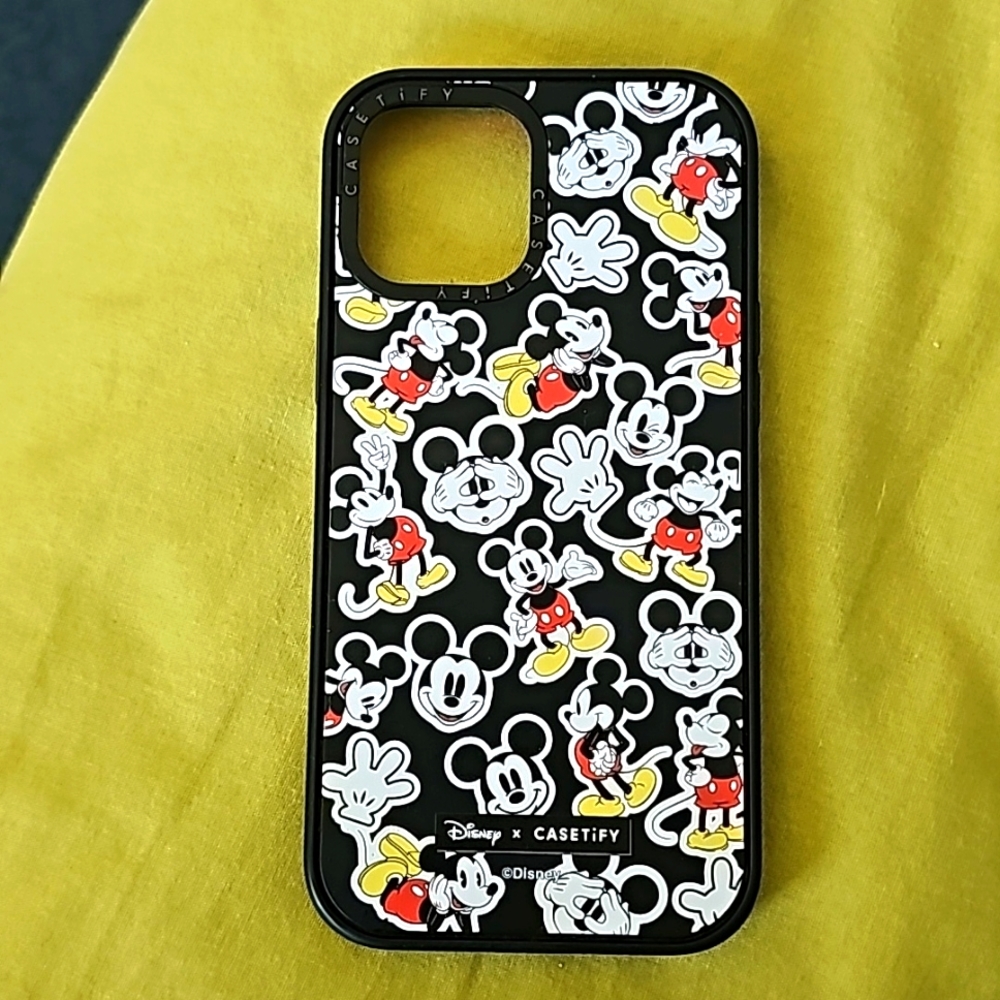 Casetify Iphone 12 pro max case